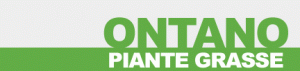 Vendita ingrosso piante grasse ONTANO - PIANTE GRASSE