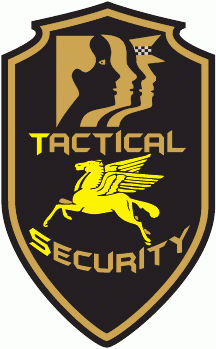 Servizi di Sicurezza TACTICAL SECURITY S.R.L.