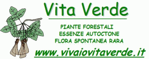 vivaio forestale, vivaio piante forestali, vivaio piante autoctone VIVAIO FORESTALE  VITA VERDE 